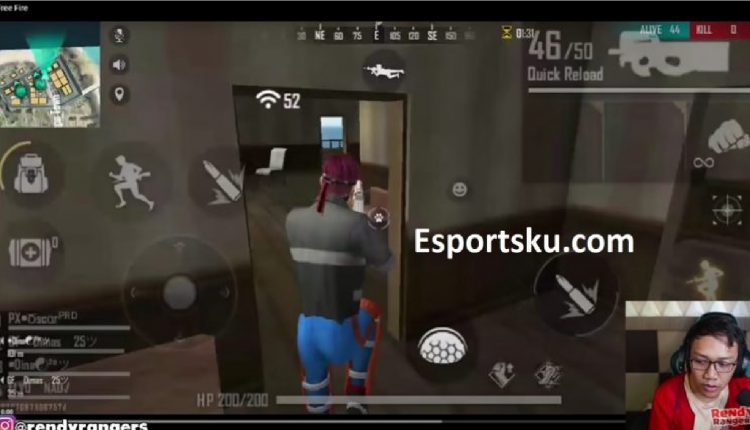 bermuda bug