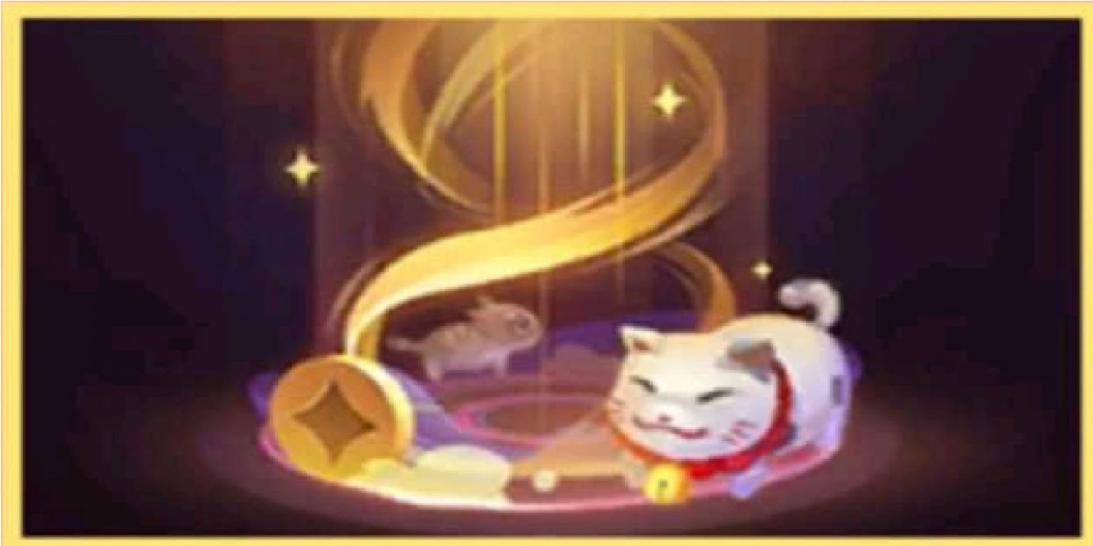 How to get the Recall Dashing Cat Effect Mobile Legends (ML) - Esports