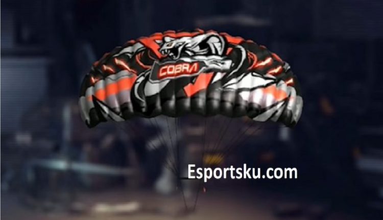 parachute skin free fire