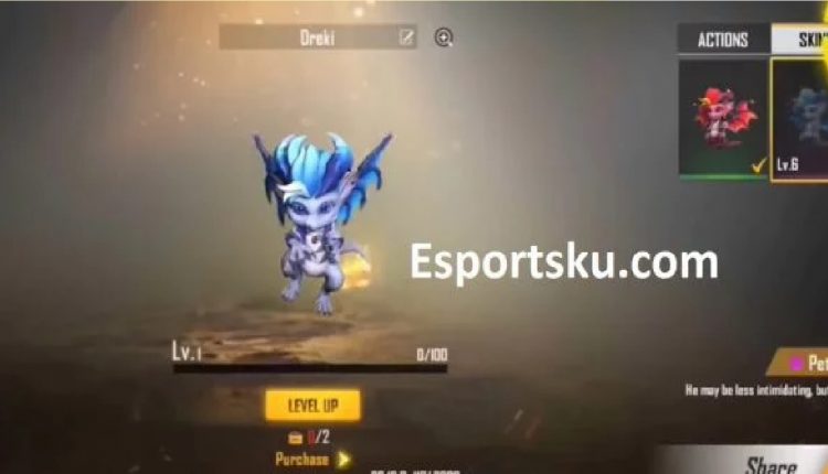 dreki